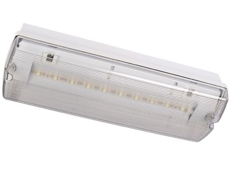 Oprawa awaryjna Orion II 100 4W 3h SA AT IP65 SO - 2
