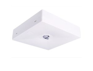 Oprawa Awaryjna Starlet Quad 4W 150 3h AT SC SA
