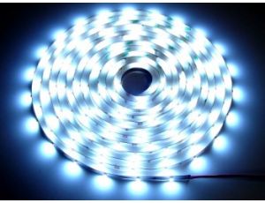 Taśma LED Basic 5050 CW  5m/150diod  IP65