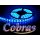 Taśma LED COBRAS 3528 niebieska 5m/300diod