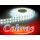 Taśma LED COBRAS 3528 biała zimna CC 5m/300diod I