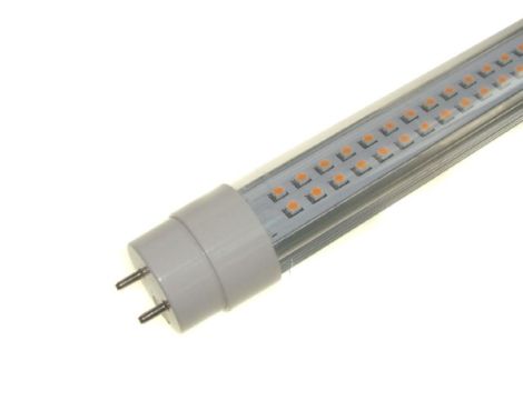 Świetlówka led T8 do oświetlenia pieczywa -