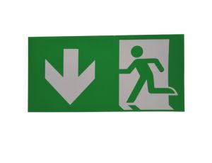 PIktogram E9 do oprawy awaryjnej Oximia EXIT DOWN.