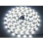 Taśma LED Premium 2835  60d/m 100m 4000K IP20 - 2