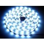Taśma LED Premium 2835 120d/m 100m 6000K IP20 - 2